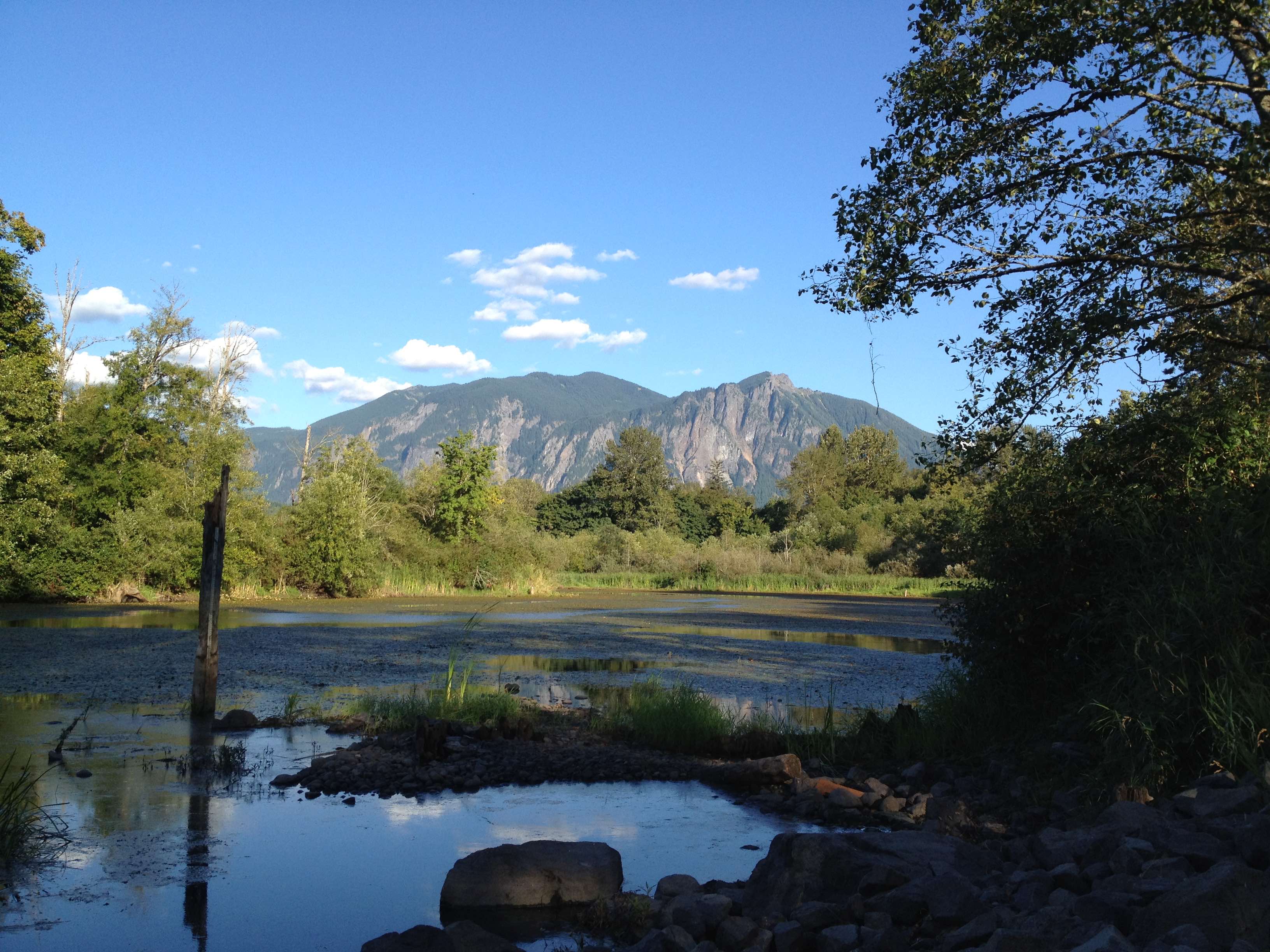 Mill Pond